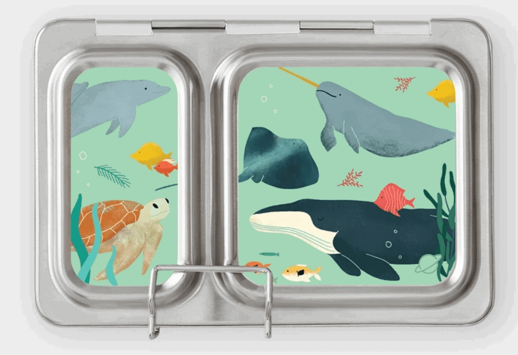 PlanetBox Shuttle Bento Lunchbox - LunchBox Inc.