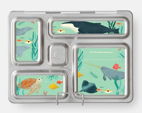 PlanetBox | Rover Stainless Steel Bento Lunchbox