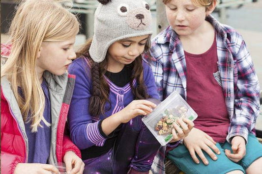 Reusable Snack Packs - Kai Carrier - 10 Pack - LunchBox Inc.