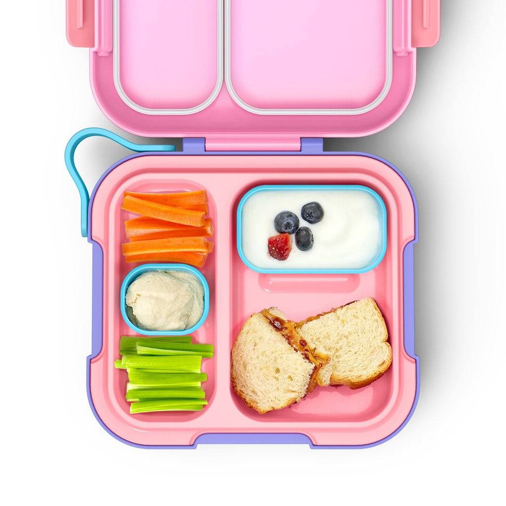 Zoku Neat Bento with Freezer Pack - LunchBox Inc.