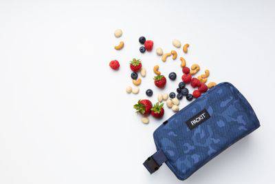 Packit Freezable Snack Box - LunchBox Inc.