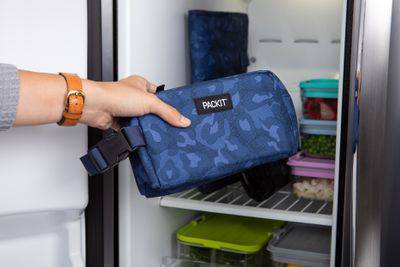 Packit Freezable Snack Box - LunchBox Inc.