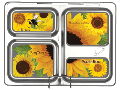 PlanetBox Launch Bento Lunch Box Magnets Only - LunchBox Inc.