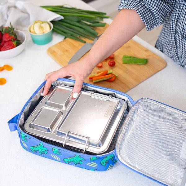 Little Lunch Box Maxi Bento Leakproof Lunchbox