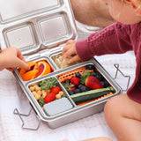 Little Lunch Box Maxi Bento Leakproof Lunchbox